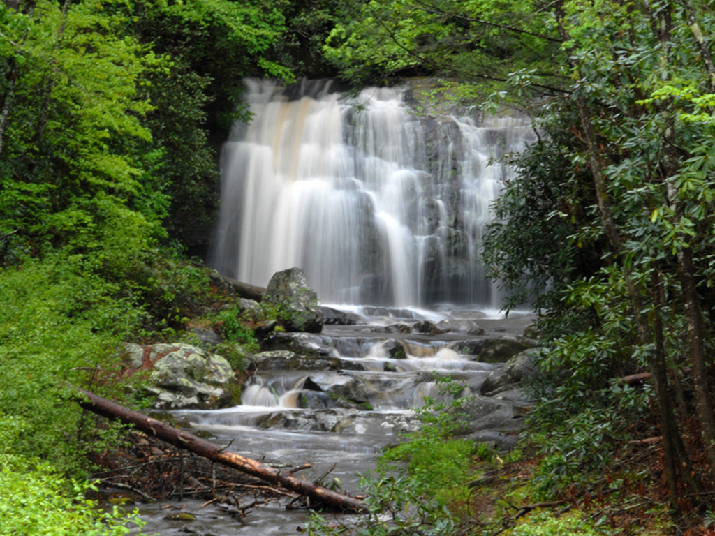 Smoky Mountain Waterfalls